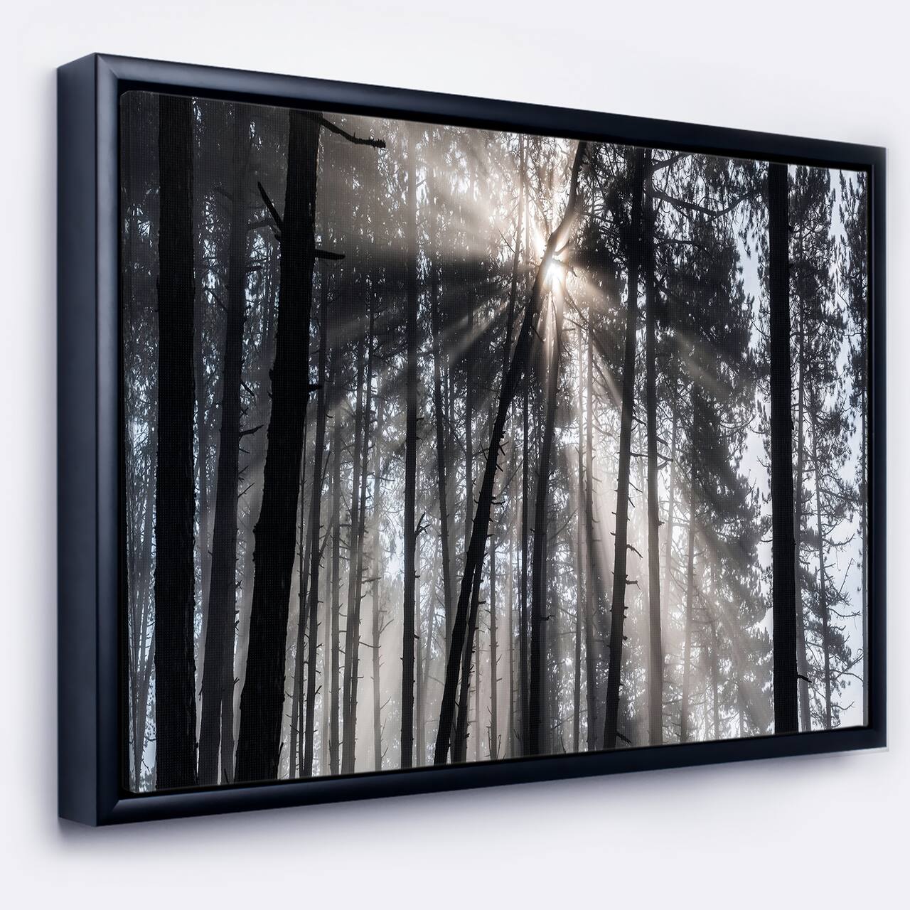 Designart - Sunbeams through Black White Forest - Forest Framed Canvas Wall Art Print